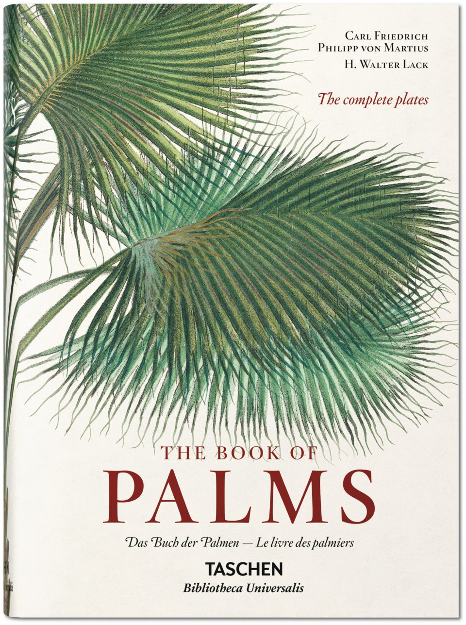 Martius. The Book of Palms