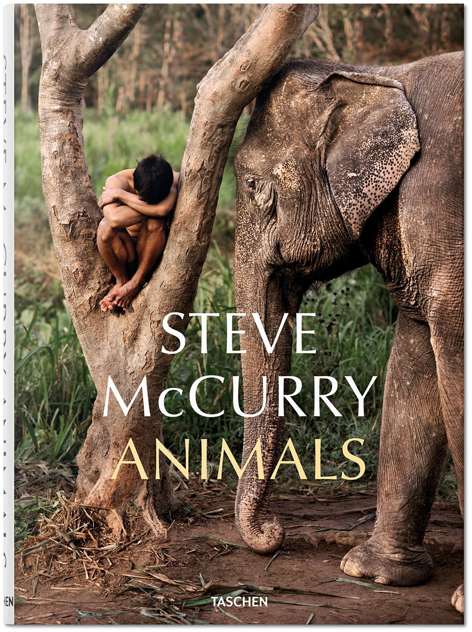 Steve McCurry. Animals